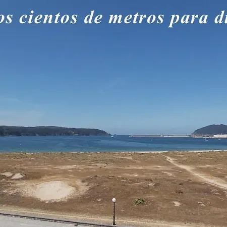 Quintana&lev * Viveiro