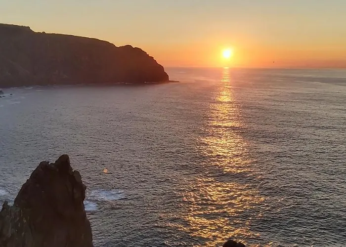 Quintana&lev * Viveiro