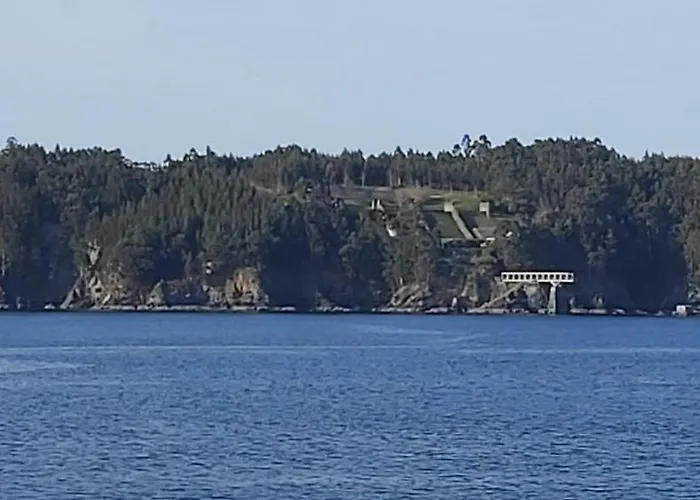 Quintana&lev Viveiro